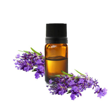 Buy Lavender Oil (Roghan e Ustukhuddus) in Pakistan – Relaxation & Skin Care | Hafiz Pansar