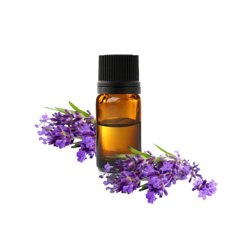 Buy Lavender Oil (Roghan e Ustukhuddus) in Pakistan – Relaxation & Skin Care | Hafiz Pansar Buy Lavender Oil (Roghan e Ustukhuddus) in Pakistan – Relaxation & Skin Care | Hafiz Pansar