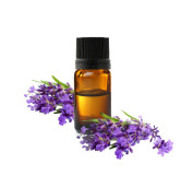 Buy Lavender Oil (Roghan e Ustukhuddus) in Pakistan – Relaxation & Skin Care | Hafiz Pansar