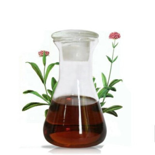 Buy Balchar Oil (Jatamansi Oil) in Pakistan – Stress Relief & Hair Care | Hafiz Pansar