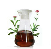 Buy Balchar Oil (Jatamansi Oil) in Pakistan – Stress Relief & Hair Care | Hafiz Pansar