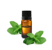Buy Peppermint Oil in Pakistan – Natural Headache & Hair Care | Hafiz Pansar