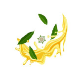 Buy Bhringraj Oil (Roghan e Bhangra) in Pakistan – Hair Growth & Dandruff Care | Hafiz Pansar