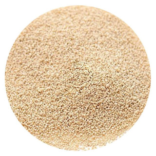Buy Poppy Seeds Oil (Roghan e Khashkhash) in Pakistan – Nerves, Sleep & Joint Care | Hafiz Pansar