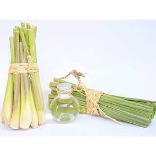 Buy Lemongrass Oil (Roghan e Lemon Grass) in Pakistan – Stress Relief & Skin Care | Hafiz Pansar