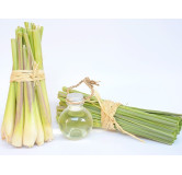 Buy Lemongrass Oil (Roghan e Lemon Grass) in Pakistan – Stress Relief & Skin Care | Hafiz Pansar