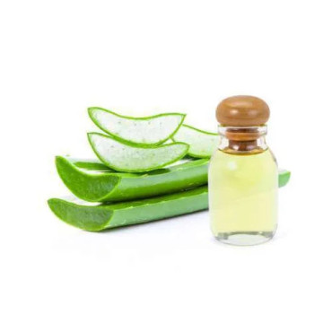 Buy Aloe Vera Oil (Roghan e Gikwar) in Pakistan – Skin & Hair Care | Hafiz Pansar
