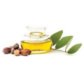 Buy Jojoba Oil (Roghan e Unaab) in Pakistan – Skin & Hair Care | Hafiz Pansar