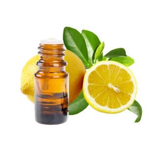 Lemon Oil (Roghan e Lemon) – Herbal Oil for Skin, Hair & Wellness | Hafiz Pansar