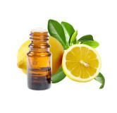 Lemon Oil (Roghan e Lemon) – Herbal Oil for Skin, Hair & Wellness | Hafiz Pansar