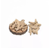 Star Anise (Badian Khatai)