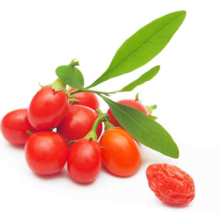 Dried Goji Berries (Wolfberry) – Buy Online in Pakistan | Hafiz Pansar