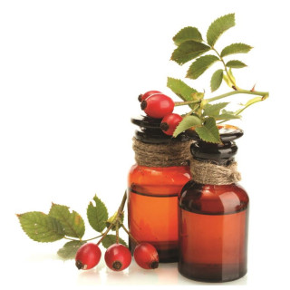 Rose Hip Oil (Roghan e Tukham Gulab) – Pure Herbal Oil for Skin & Hair | Hafiz Pansar