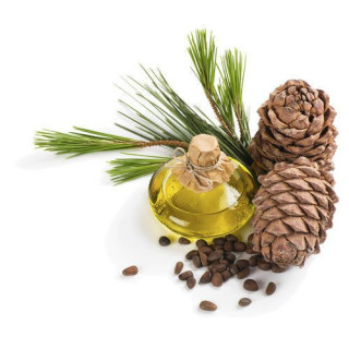 Cedarwood Oil (Roghan e Deewdar) – Herbal Oil for Skin, Hair & Relaxation | Hafiz Pansar
