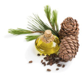 Cedarwood Oil (Roghan e Deewdar) – Herbal Oil for Skin, Hair & Relaxation | Hafiz Pansar