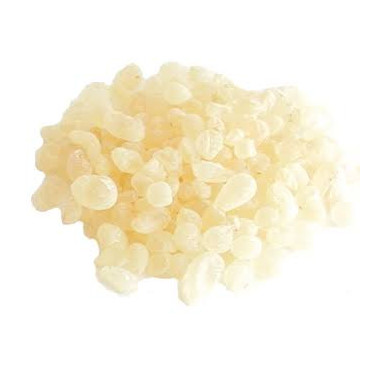Mastic Gum (Pistacia Lentiscus)