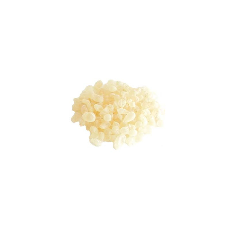 Mastic Gum (Pistacia Lentiscus)