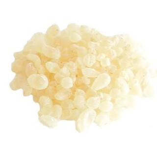 Mastic Gum (Pistacia Lentiscus)