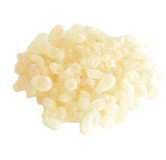Mastic Gum (Pistacia Lentiscus)