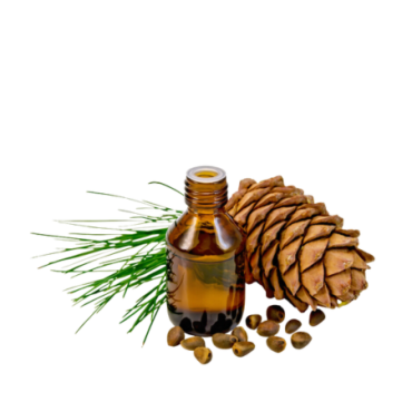 Cedarwood Oil (Roghan e Deewdar) – Herbal Oil for Skin, Hair & Relaxation | Hafiz Pansar