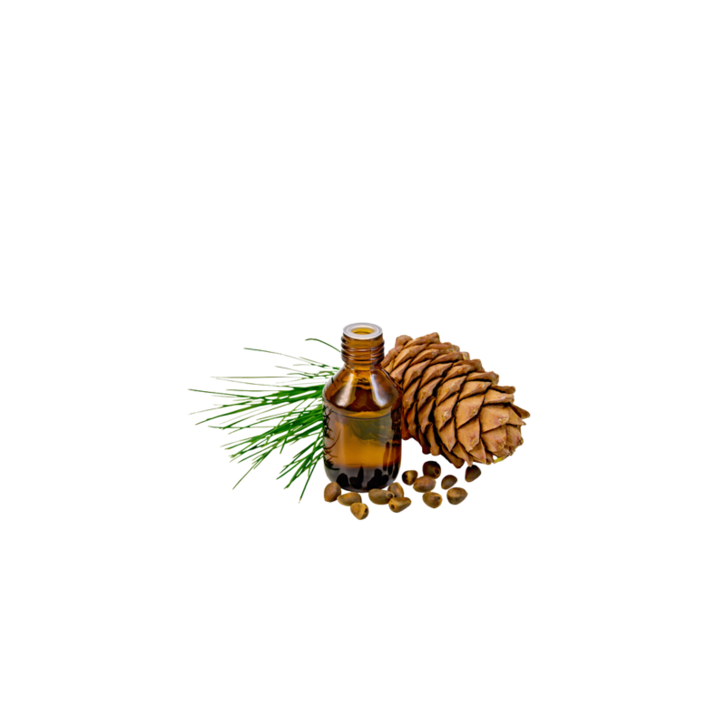 Cedarwood Oil (Roghan e Deewdar) – Herbal Oil for Skin, Hair & Relaxation | Hafiz Pansar