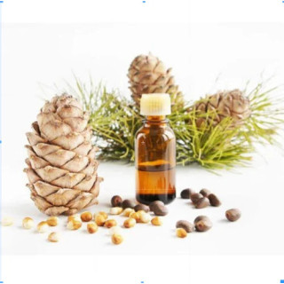 Cedarwood Oil (Roghan e Deewdar) – Herbal Oil for Skin, Hair & Relaxation | Hafiz Pansar