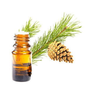 Cedarwood Oil (Roghan e Deewdar) – Herbal Oil for Skin, Hair & Relaxation | Hafiz Pansar