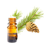 Cedarwood Oil (Roghan e Deewdar) – Herbal Oil for Skin, Hair & Relaxation | Hafiz Pansar