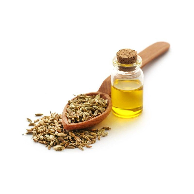 Fennel Seeds Oil (Roghan e Sonf) – Herbal Oil for Digestion, Skin & Hair | Hafiz Pansar