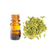 Fennel Seeds Oil (Roghan e Sonf) – Herbal Oil for Digestion, Skin & Hair | Hafiz Pansar