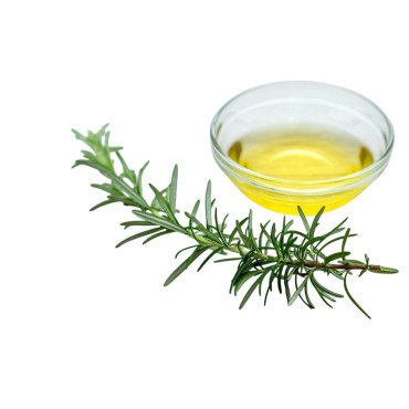 Rosemary Oil (Roghan e Duni) – Herbal Oil for Hair Growth, Memory & Skin | Hafiz Pansar
