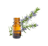 Rosemary Oil (Roghan e Duni) – Herbal Oil for Hair Growth, Memory & Skin | Hafiz Pansar