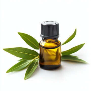 Tea Tree Oil (Roghan e Teatree) – Natural Oil for Skin, Hair & Acne | Hafiz Pansar