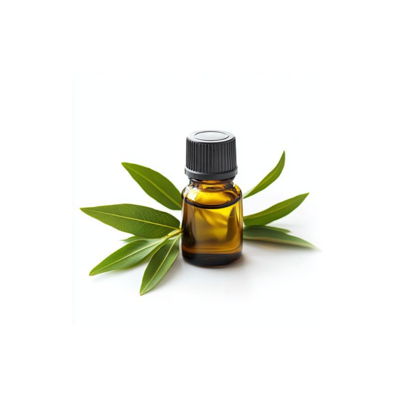 Tea Tree Oil (Roghan e Teatree) – Natural Oil for Skin, Hair & Acne | Hafiz Pansar