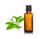 Tea Tree Oil (Roghan e Teatree) – Natural Oil for Skin, Hair & Acne | Hafiz Pansar
