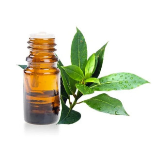 Tea Tree Oil (Roghan e Teatree) – Natural Oil for Skin, Hair & Acne | Hafiz Pansar
