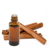 Cinnamon Oil (Roghan e Darcheeni) – Herbal Oil for Digestion, Skin & Hair | Hafiz Pansar