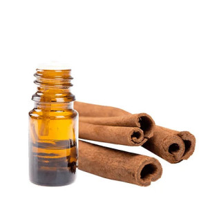 Cinnamon Oil (Roghan e Darcheeni) – Herbal Oil for Digestion, Skin & Hair | Hafiz Pansar