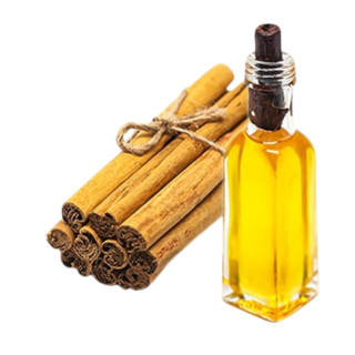 Cinnamon Oil (Roghan e Darcheeni) – Herbal Oil for Digestion, Skin & Hair | Hafiz Pansar