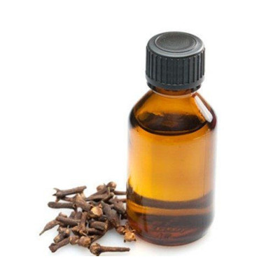 Clove Oil (Roghan e Long) – Herbal Oil for Toothache, Digestion & Skin Care | Hafiz Pansar