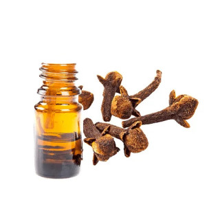Clove Oil (Roghan e Long) – Herbal Oil for Toothache, Digestion & Skin Care | Hafiz Pansar