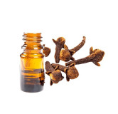 Clove Oil (Roghan e Long) – Herbal Oil for Toothache, Digestion & Skin Care | Hafiz Pansar