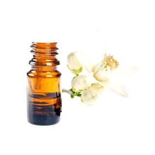 Jasmine Oil (Roghan e Jasmin) – Natural Oil for Skin, Hair & Relaxation | Hafiz Pansar