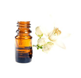 Jasmine Oil (Roghan e Jasmin) – Natural Oil for Skin, Hair & Relaxation | Hafiz Pansar