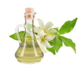Jasmine Oil (Roghan e Jasmin) – Natural Oil for Skin, Hair & Relaxation | Hafiz Pansar