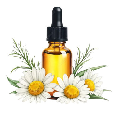 Babona Oil (Roghan e Babuna)