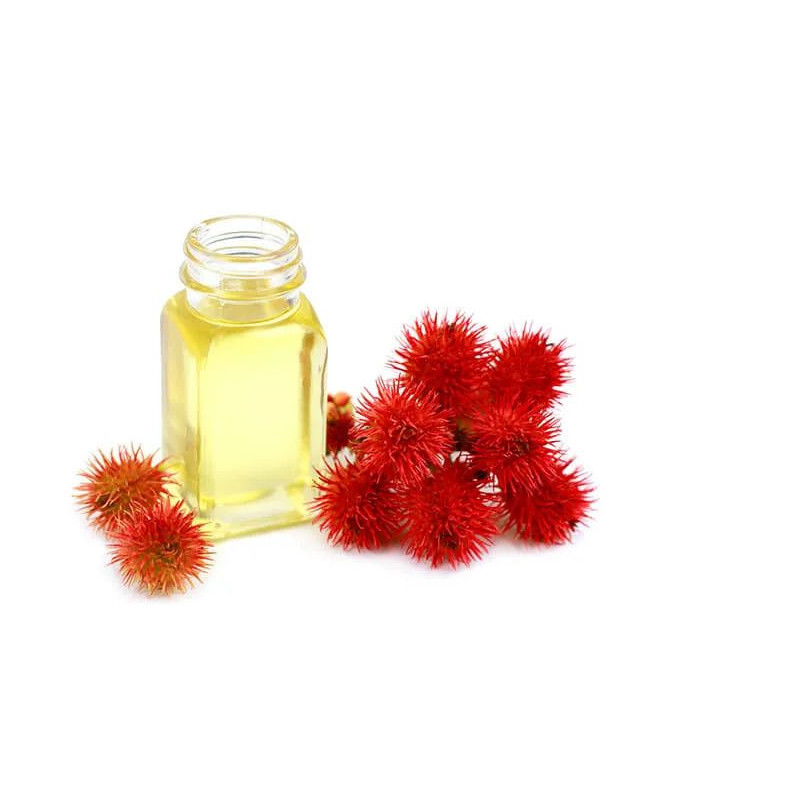 Castor Oil (Roghan e Arandi) – Pure Herbal Hair & Skin Oil | Hafiz Pansar Castor Oil (Roghan e Arandi) – Pure Herbal Hair & Skin Oil | Hafiz Pansar