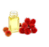 Castor Oil (Roghan e Arandi) – Pure Herbal Hair & Skin Oil | Hafiz Pansar