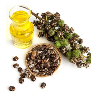Castor Oil (Roghan e Arandi) – Pure Herbal Hair & Skin Oil | Hafiz Pansar
