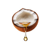 Buy Coconut Oil (Roghan e Naril) in Pakistan – Hair, Skin & Cooking Uses | Hafiz Pansar